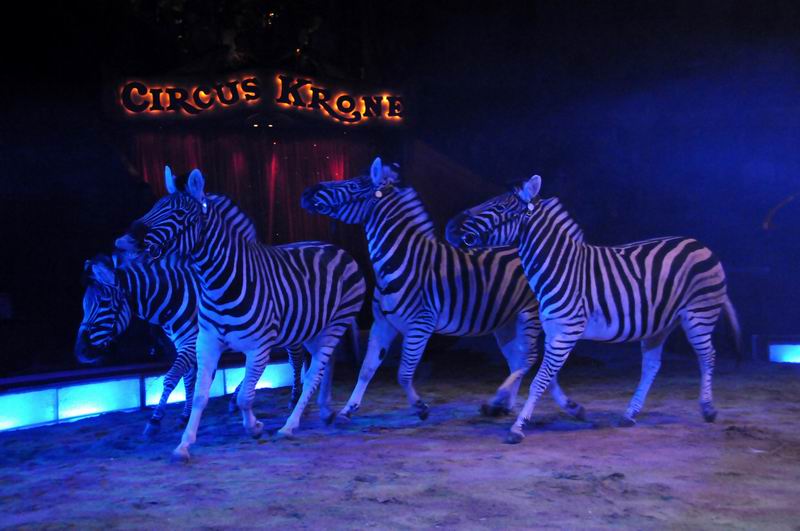 2011_02_01_03386.jpg
