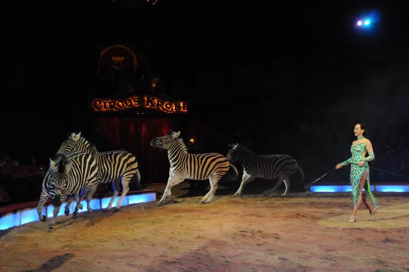 2011_02_01_03468.jpg