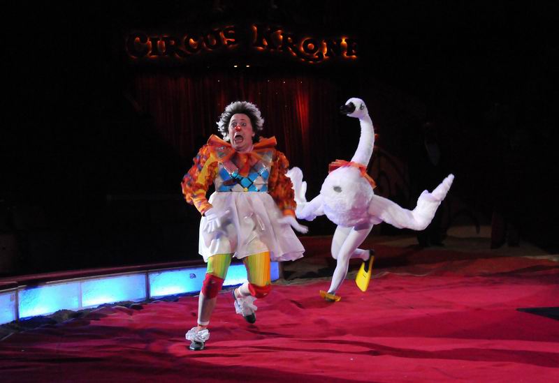 2011_02_01_03588.jpg