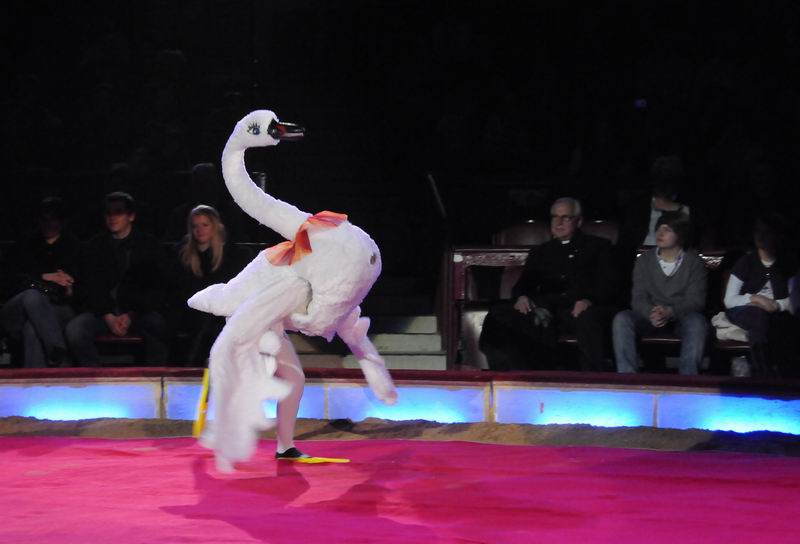 2011_02_01_03597.jpg