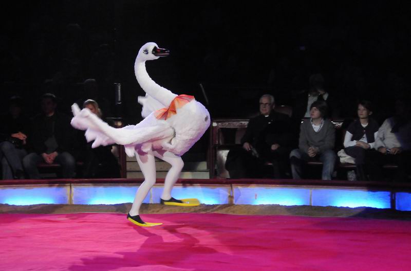 2011_02_01_03598.jpg