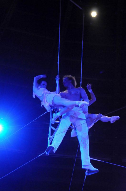 2011_02_01_04214.jpg