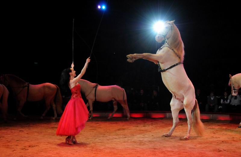 2011_02_01_06080.jpg