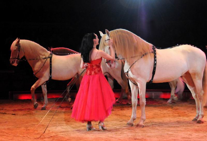 2011_02_01_06089.jpg