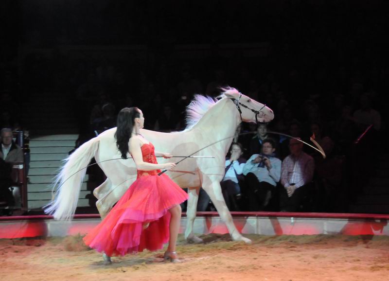 2011_02_01_06401.jpg