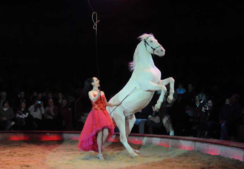 2011_02_01_06413.jpg