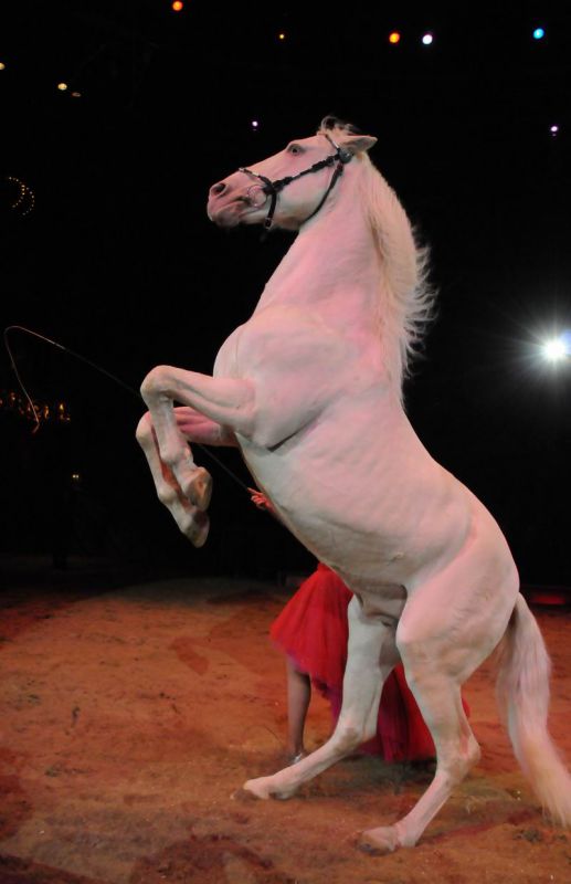 2011_02_01_06424.jpg