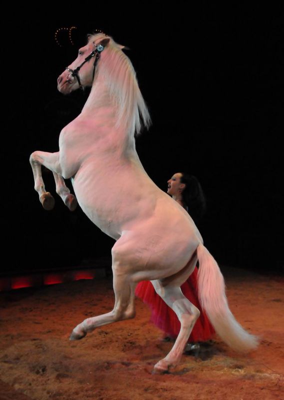 2011_02_01_06425.jpg