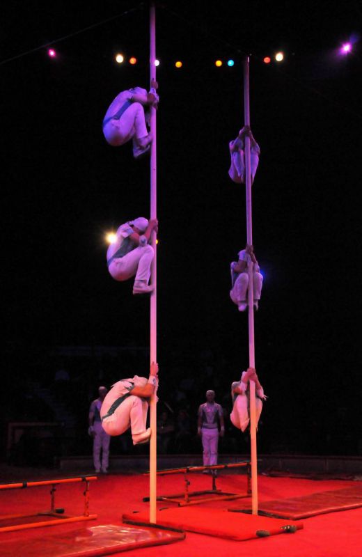 2011_02_01_07236.jpg