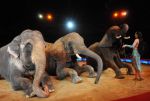 2011_02_01_03215.jpg