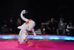 2011_02_01_03597.jpg