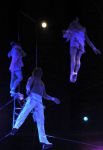 2011_02_01_04262.jpg