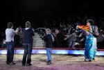 2011_02_01_05847.jpg