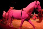 2011_02_01_06037.jpg