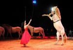 2011_02_01_06079.jpg