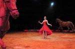 2011_02_01_06094.jpg