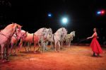 2011_02_01_06138.jpg