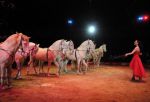 2011_02_01_06139.jpg