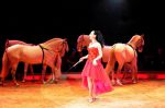 2011_02_01_06179.jpg
