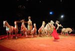 2011_02_01_06216.jpg
