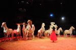2011_02_01_06222.jpg