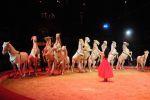 2011_02_01_06227.jpg