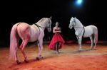 2011_02_01_06287.jpg