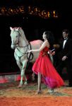 2011_02_01_06305.jpg