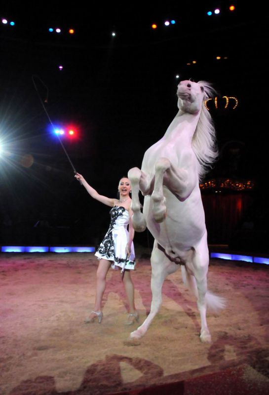 2011_03_01_02375.jpg