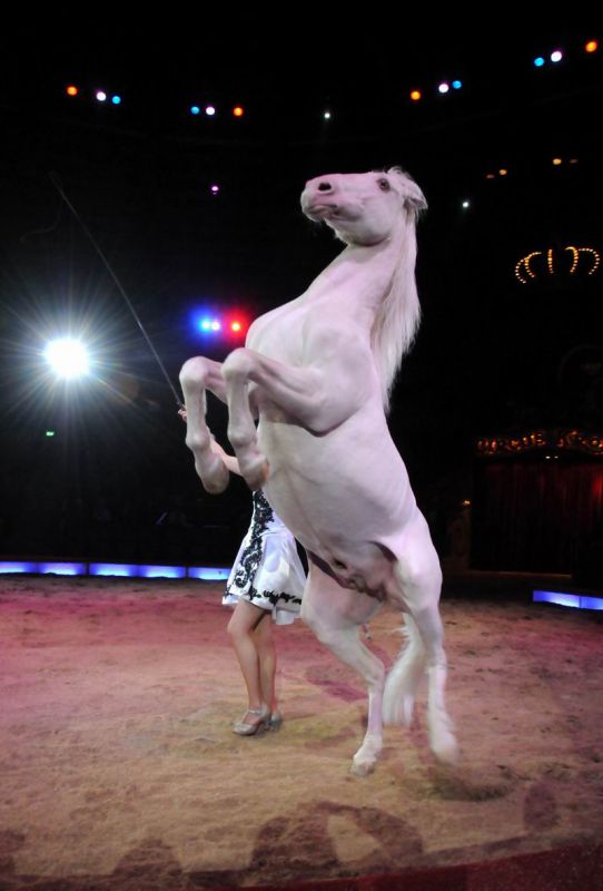 2011_03_01_02377.jpg