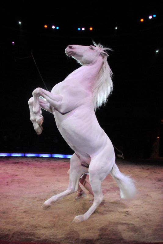 2011_03_01_02379.jpg