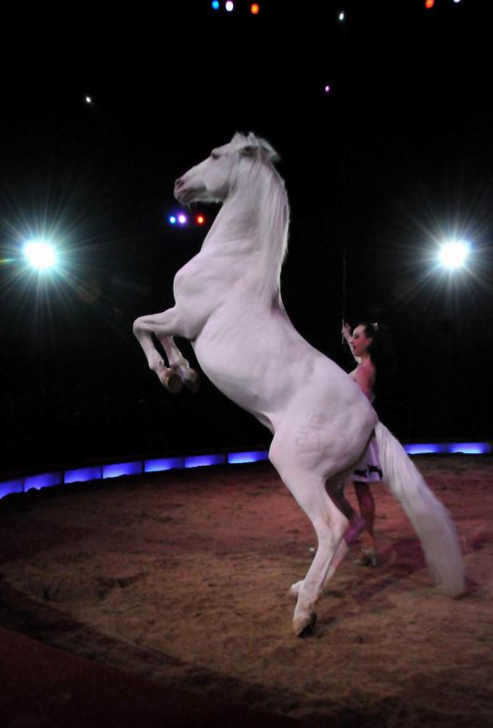 2011_03_01_02384.jpg
