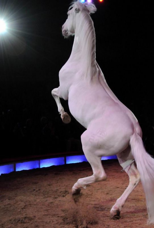 2011_03_01_02385.jpg