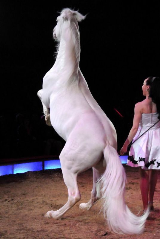 2011_03_01_02387.jpg