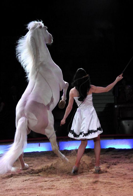 2011_03_01_02390.jpg