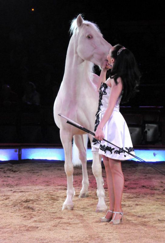 2011_03_01_02406.jpg