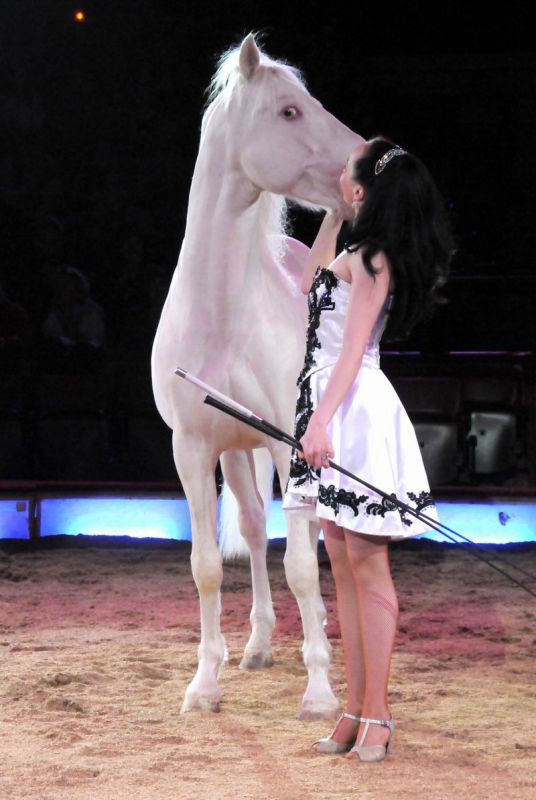 2011_03_01_02407.jpg