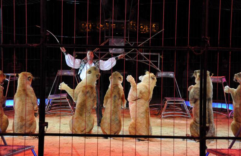 2011_03_01_02845.jpg