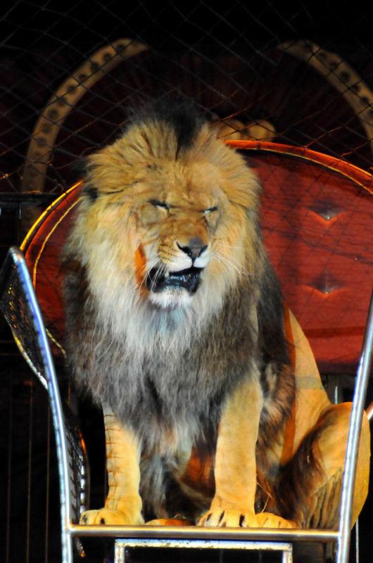 2011_03_01_03137.jpg