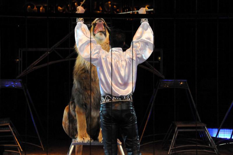 2011_03_01_03181.jpg