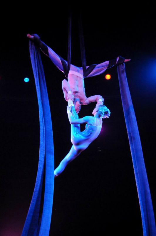2011_03_01_03480.jpg