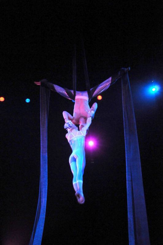 2011_03_01_03511.jpg