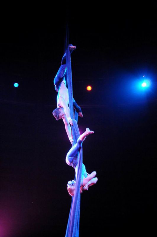 2011_03_01_03555.jpg