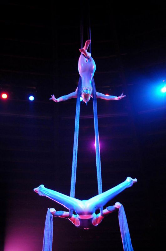 2011_03_01_03718.jpg