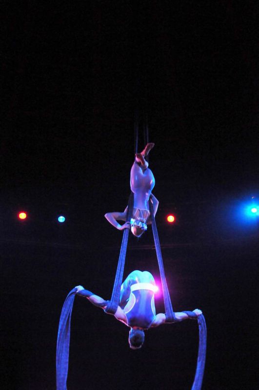 2011_03_01_03726.jpg