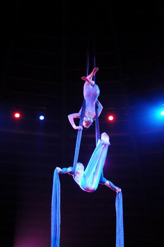 2011_03_01_03727.jpg