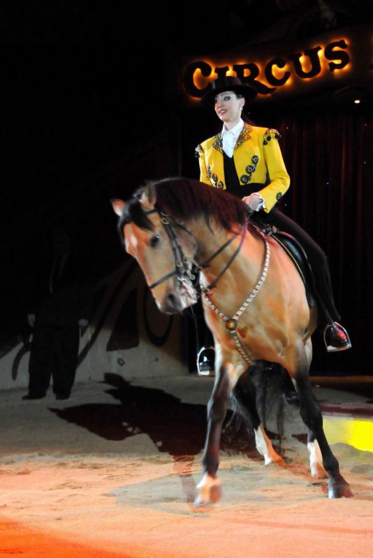 2011_03_01_03975.jpg