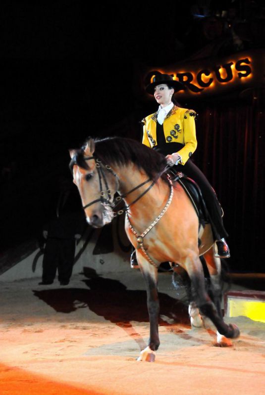 2011_03_01_03976.jpg