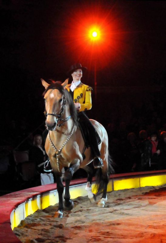 2011_03_01_039980.jpg