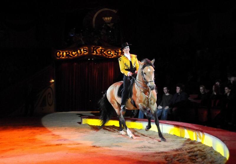 2011_03_01_04058.jpg
